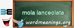WordMeaning blackboard for mola lanceolata